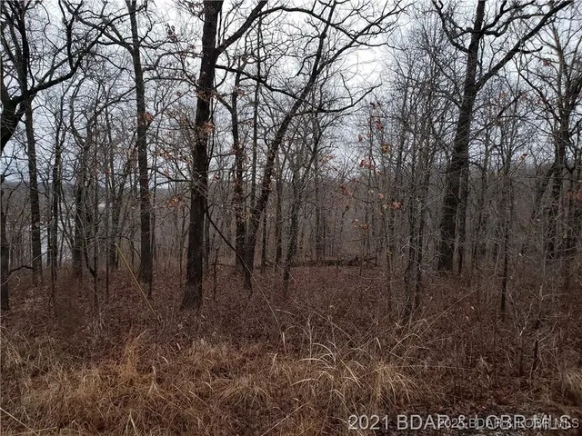 $12,000 | 29991-29992 Guccione Place, Edwards, MO 65326