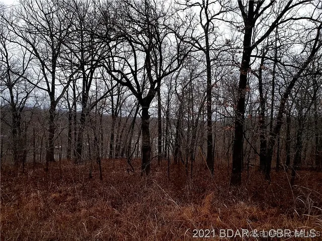 $12,000 | 29991-29992 Guccione Place, Edwards, MO 65326