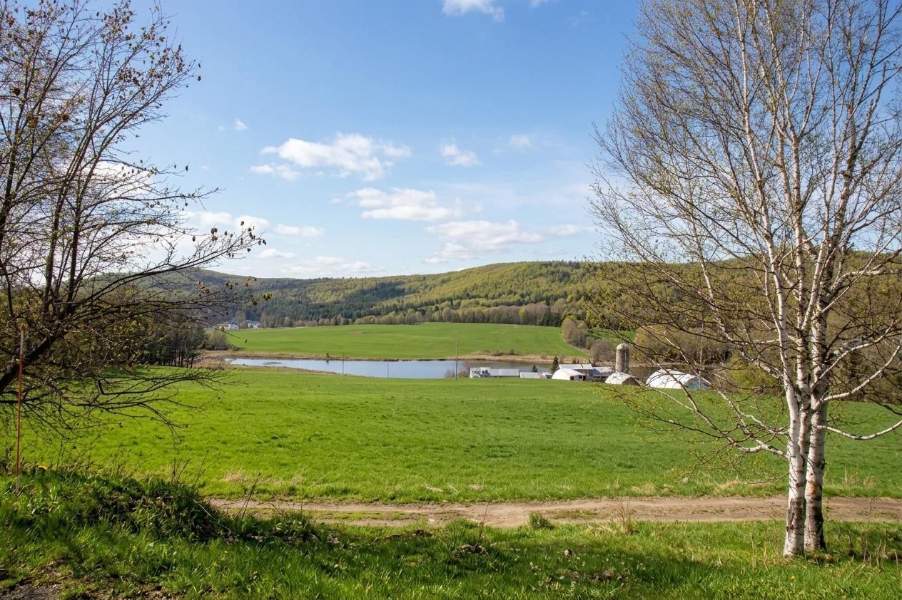 433 Young Farm Road Peacham, VT 05873 - Photo 6 of 59