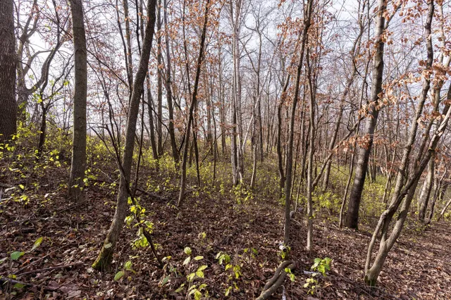 $355,000 | 25838 230th Avenue, Fergus Falls, MN 56537