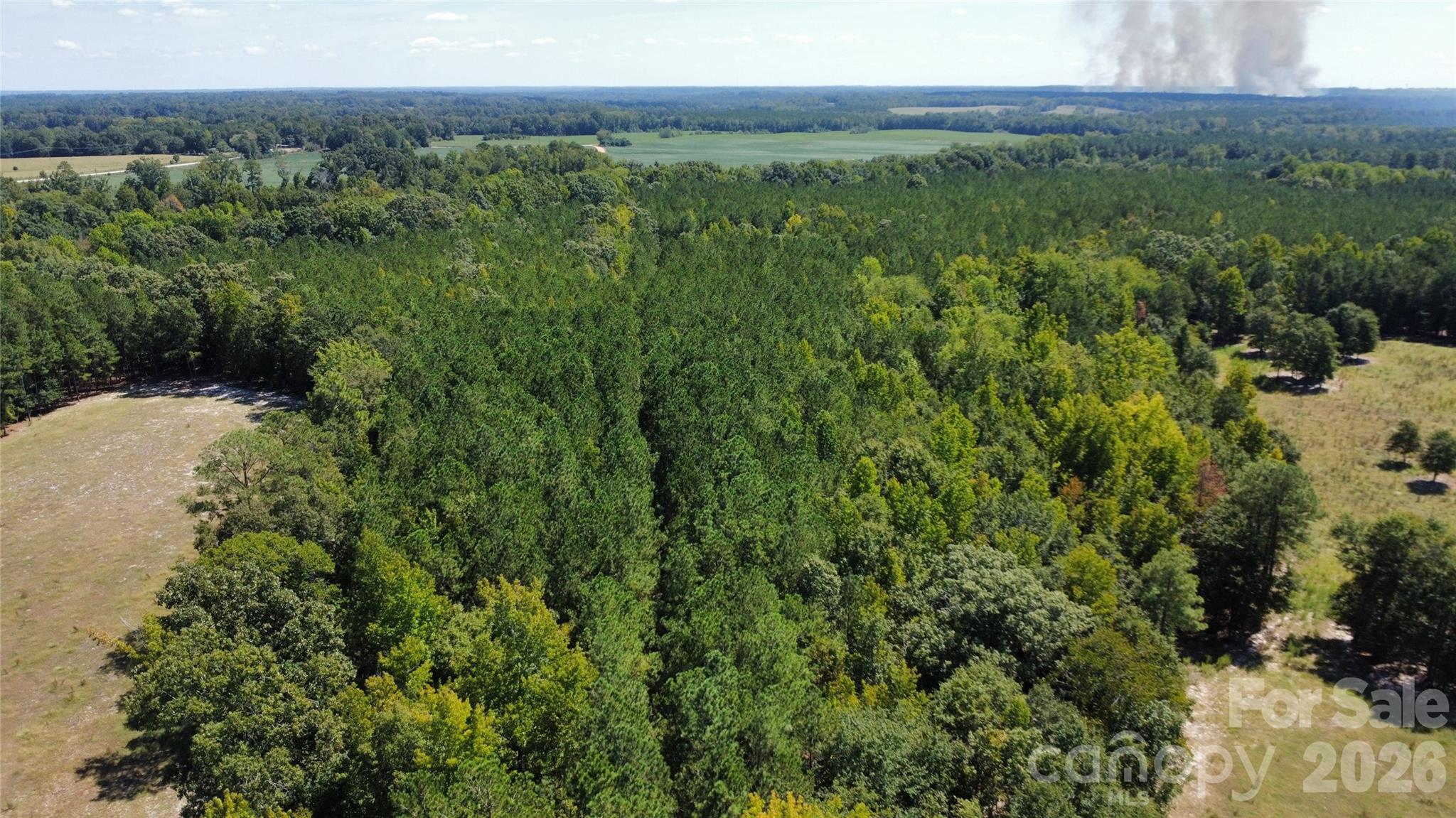 0 Blair Hendrick Road Mount Croghan, SC 29727 - Photo 3 of 5 Gallery Image 3