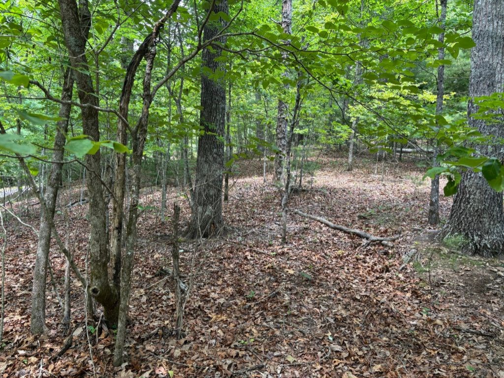 Lot 46 Mission Ridge Hayesville, NC 28904 - Photo 8 of 15