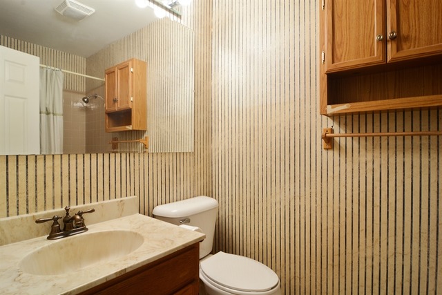 268 Vista Road Lake Zurich, IL 60047 - Photo 8 of 15