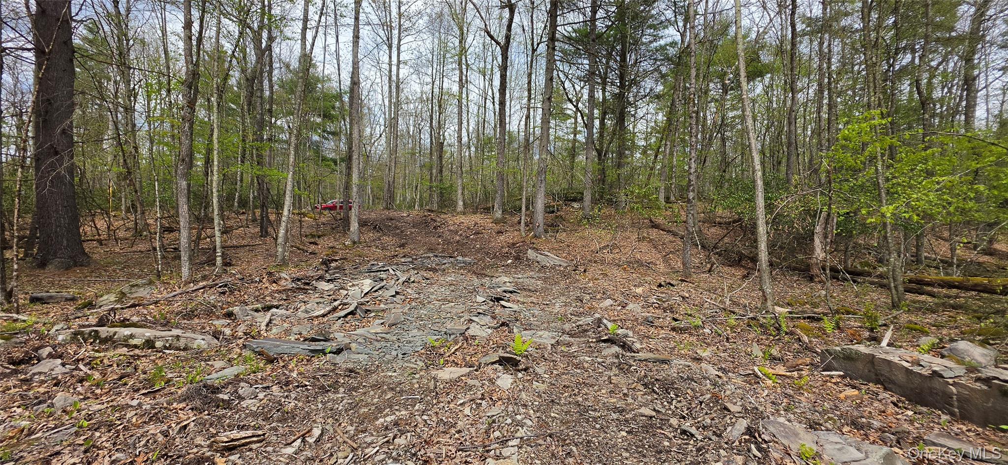 Lot 82 Perry Pond Road Narrowsburg, NY 12764 - Photo 5 of 14