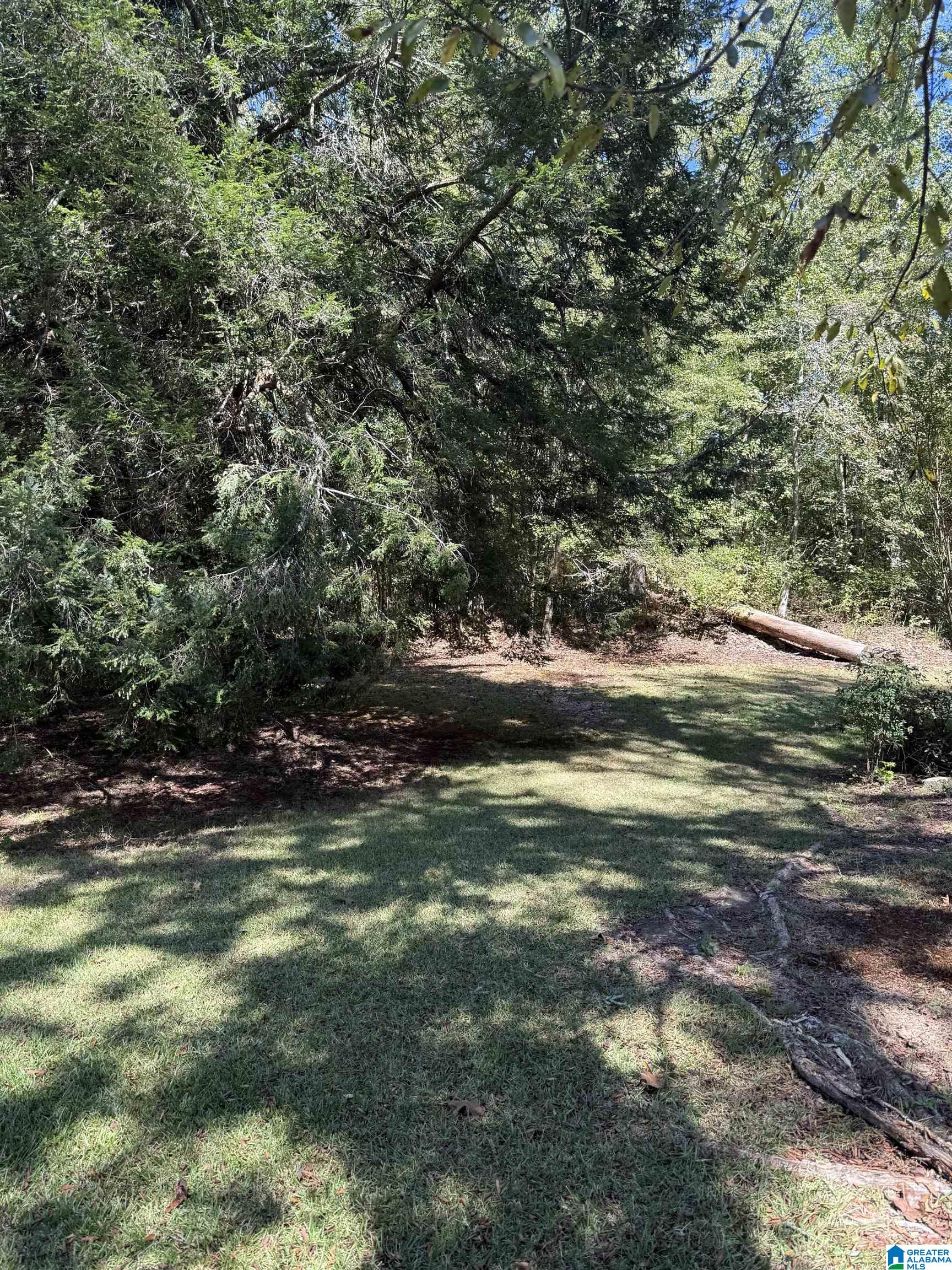 1974 Websters Chapel Road Wellington, AL 36279 - Photo 3 of 5