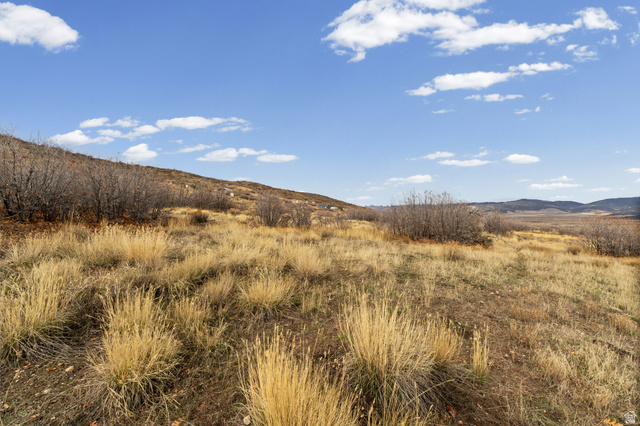 349 West Mountain View Road, Unit 349 Fairview, UT 84629 - Photo 17 of 26 Expansive open land featuring natural grasses, scattered brush, and a sloping terrain