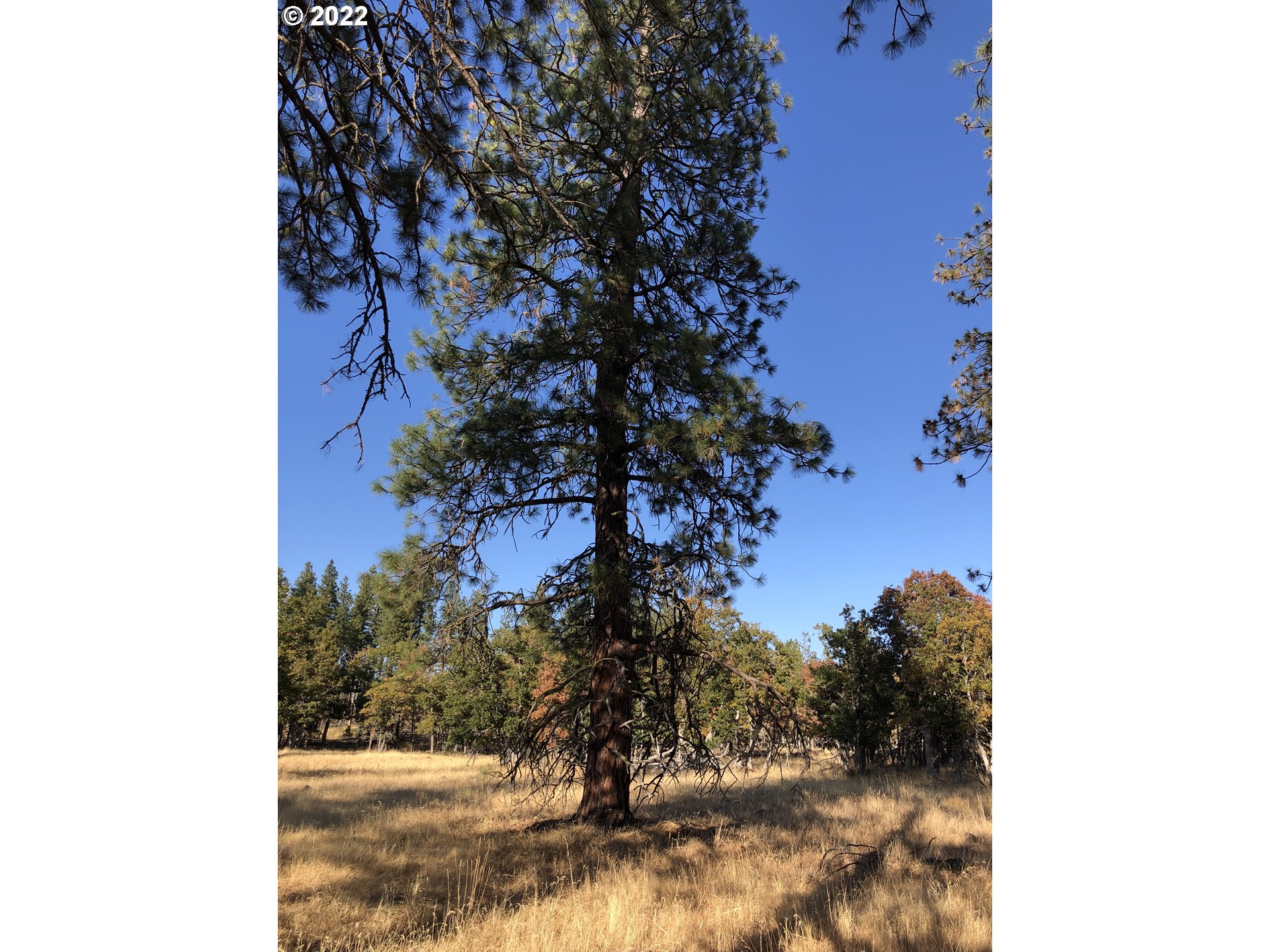 1 England Goldendale, WA 98620 - Photo 5 of 5 Gallery Image 5
