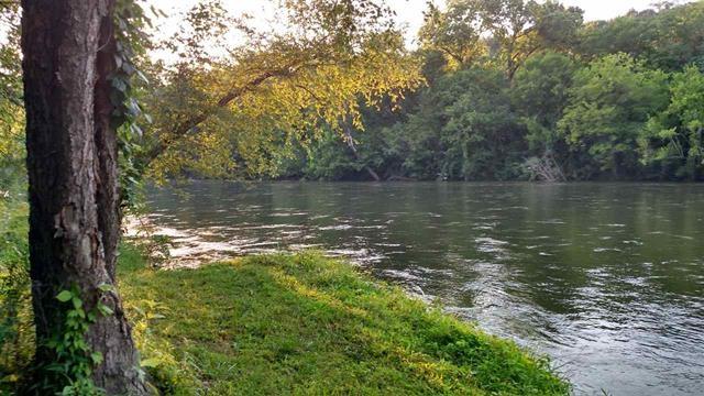 1598 Patty Road Delano, TN 37325 - Photo 2 of 8 1598 Patty 1