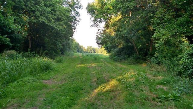1598 Patty Road Delano, TN 37325 - Photo 6 of 8 1598 Patty 5
