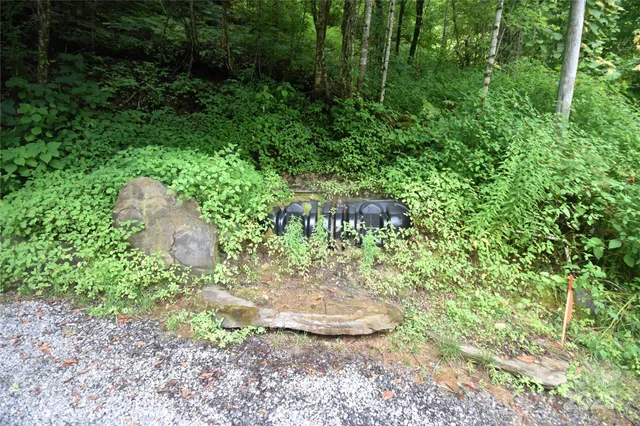 a view of a garden with a fountain