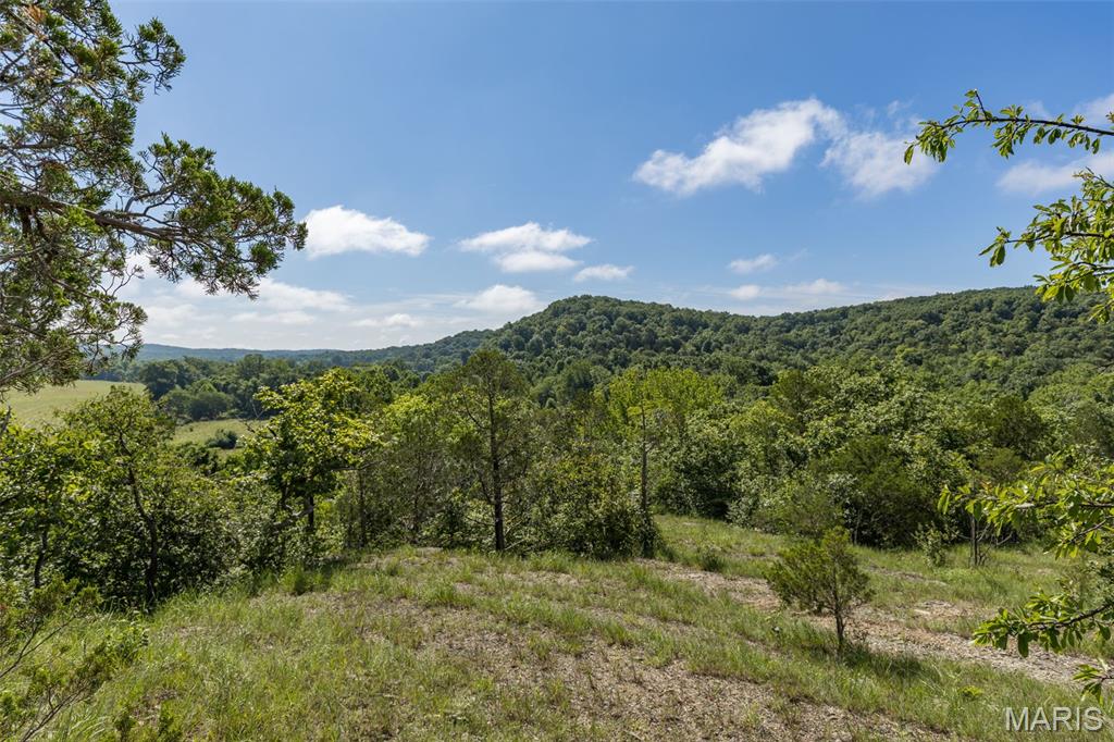 1 Cedar Hollow Road Fletcher, MO 63030 - Photo 46 of 96