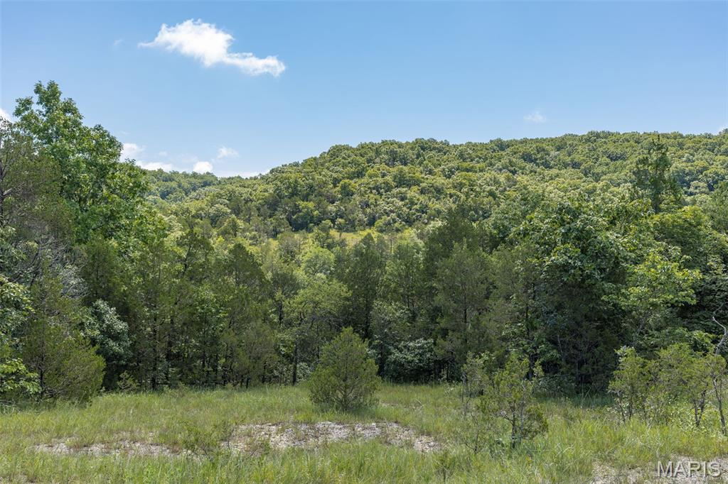 1 Cedar Hollow Road Fletcher, MO 63030 - Photo 49 of 96