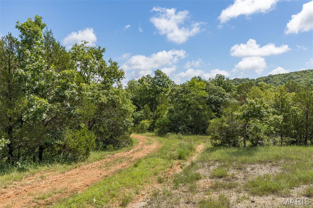 1 Cedar Hollow Road Fletcher, MO 63030 - Photo 65 of 96