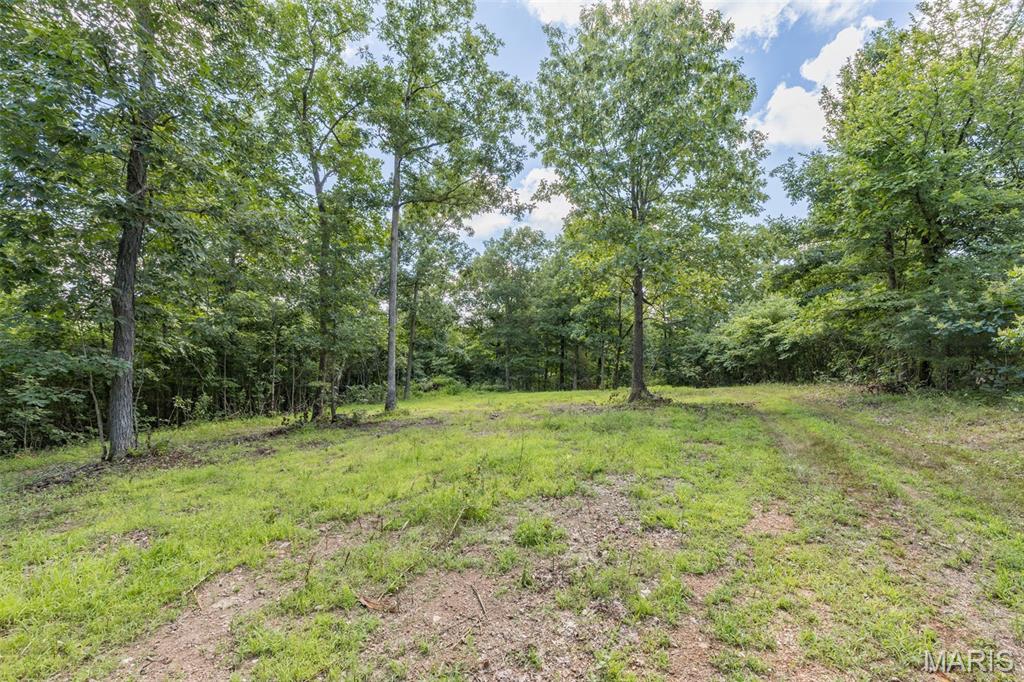 1 Cedar Hollow Road Fletcher, MO 63030 - Photo 66 of 96