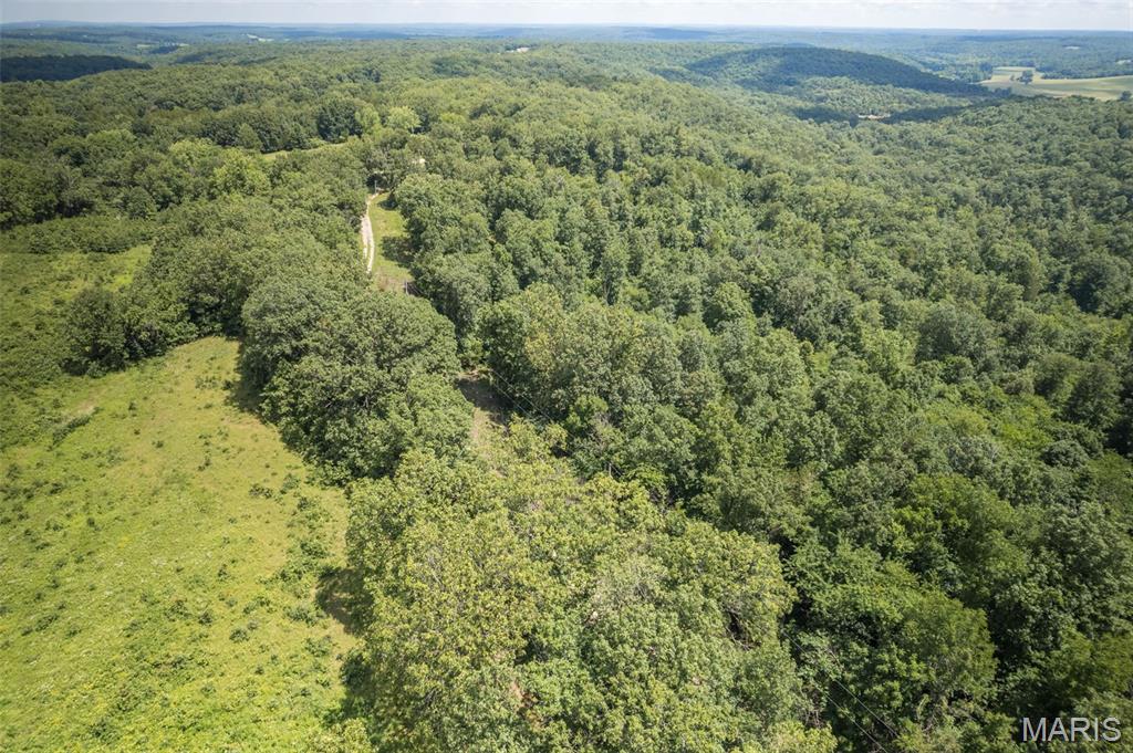 1 Cedar Hollow Road Fletcher, MO 63030 - Photo 81 of 96