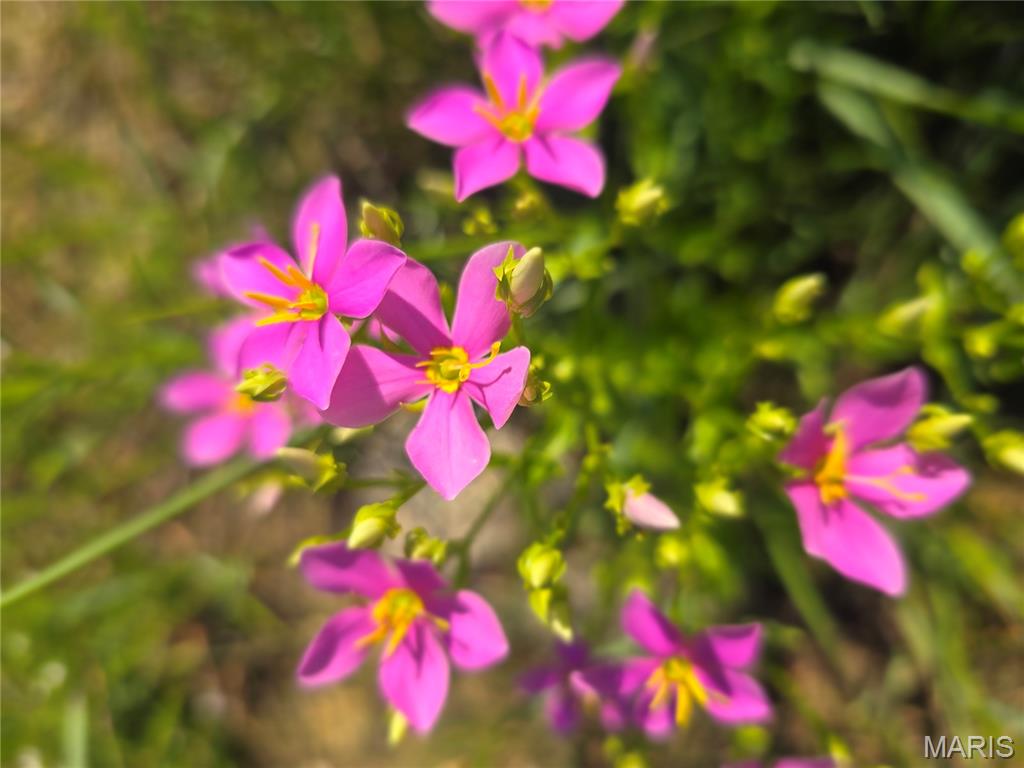 1 Cedar Hollow Road Fletcher, MO 63030 - Photo 84 of 96