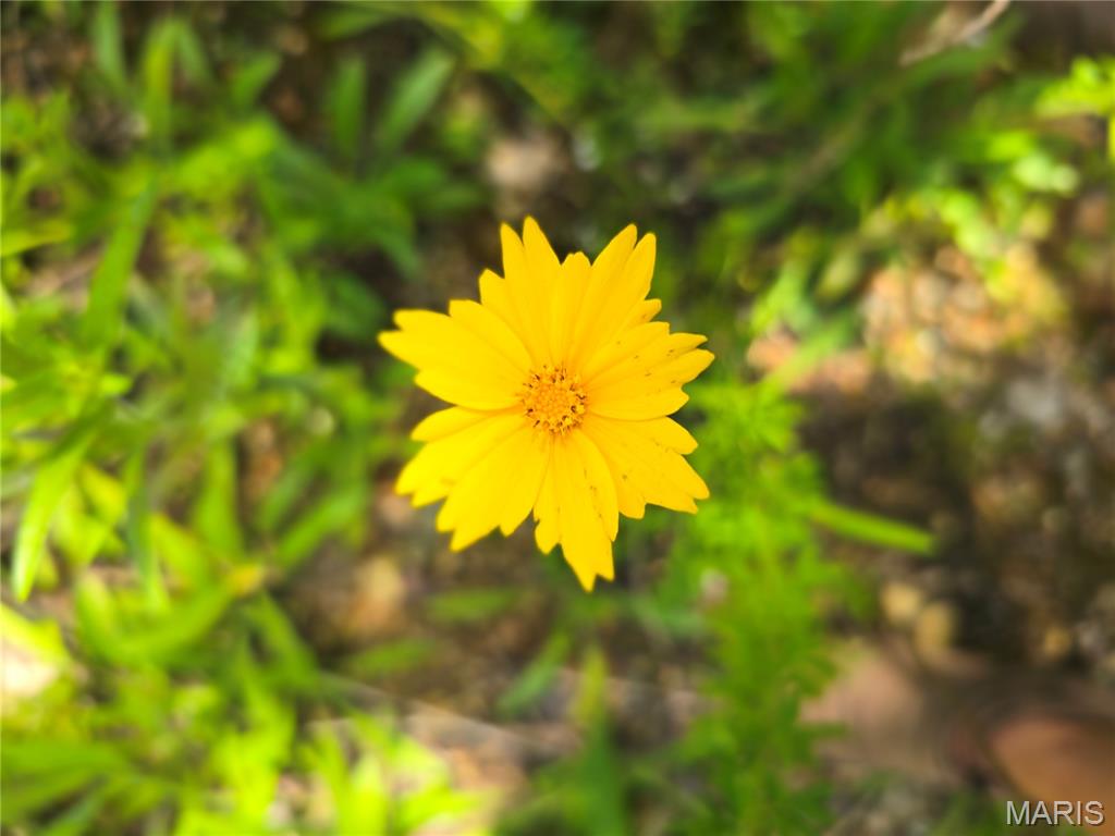 1 Cedar Hollow Road Fletcher, MO 63030 - Photo 92 of 96