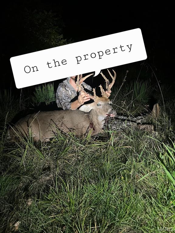 1 Cedar Hollow Road Fletcher, MO 63030 - Photo 93 of 96