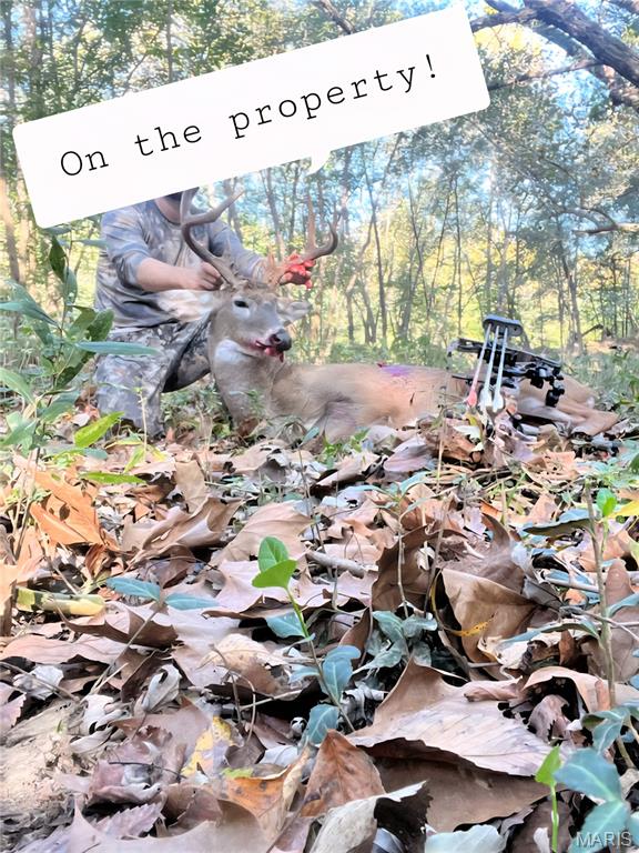 1 Cedar Hollow Road Fletcher, MO 63030 - Photo 94 of 96