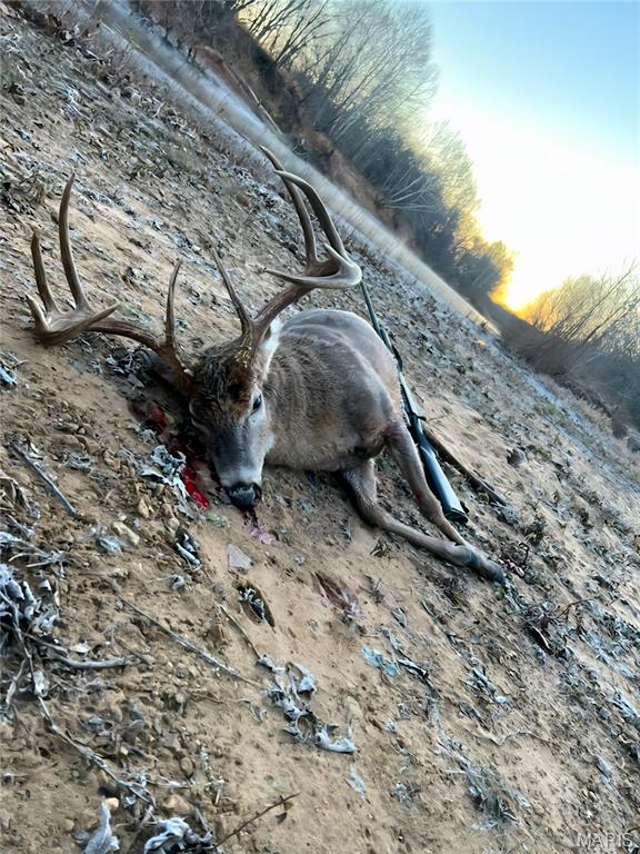 1 Cedar Hollow Road Fletcher, MO 63030 - Photo 96 of 96