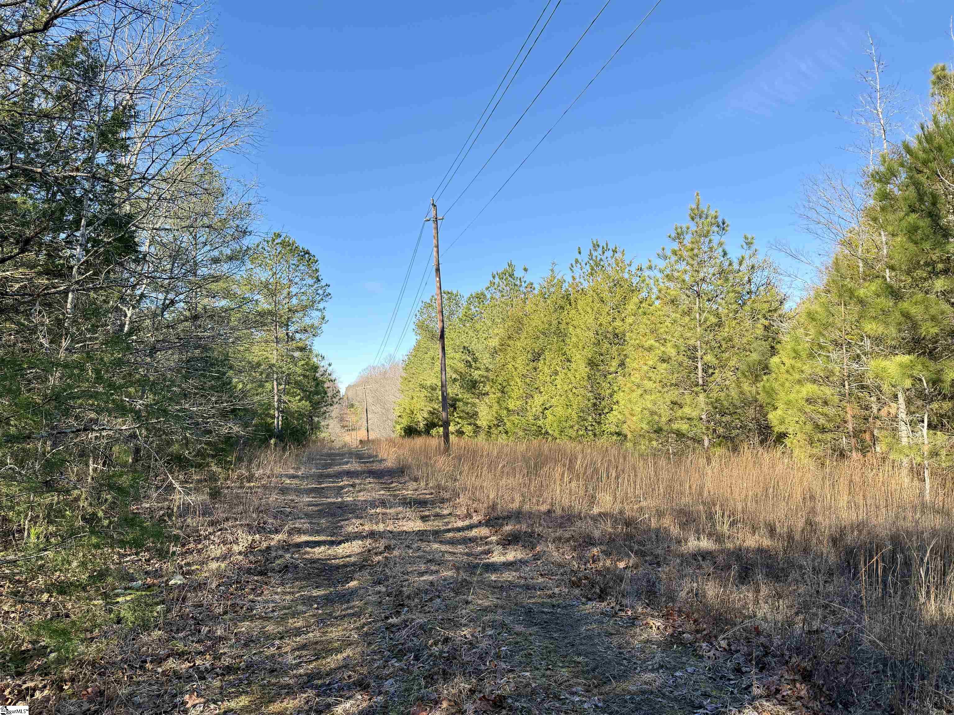 0 Neely Ferry Road Laurens, SC 29360 - Photo 11 of 24 Gallery Image 11