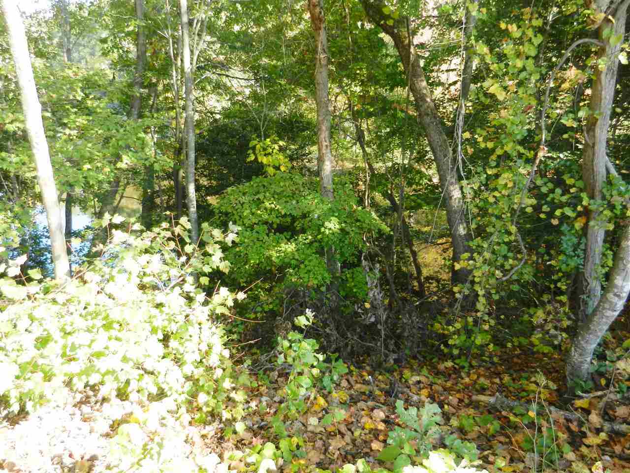 245 Saddle Ridge Drive Willow Spring, NC 27592 - Photo 6 of 24 a view of a yard
