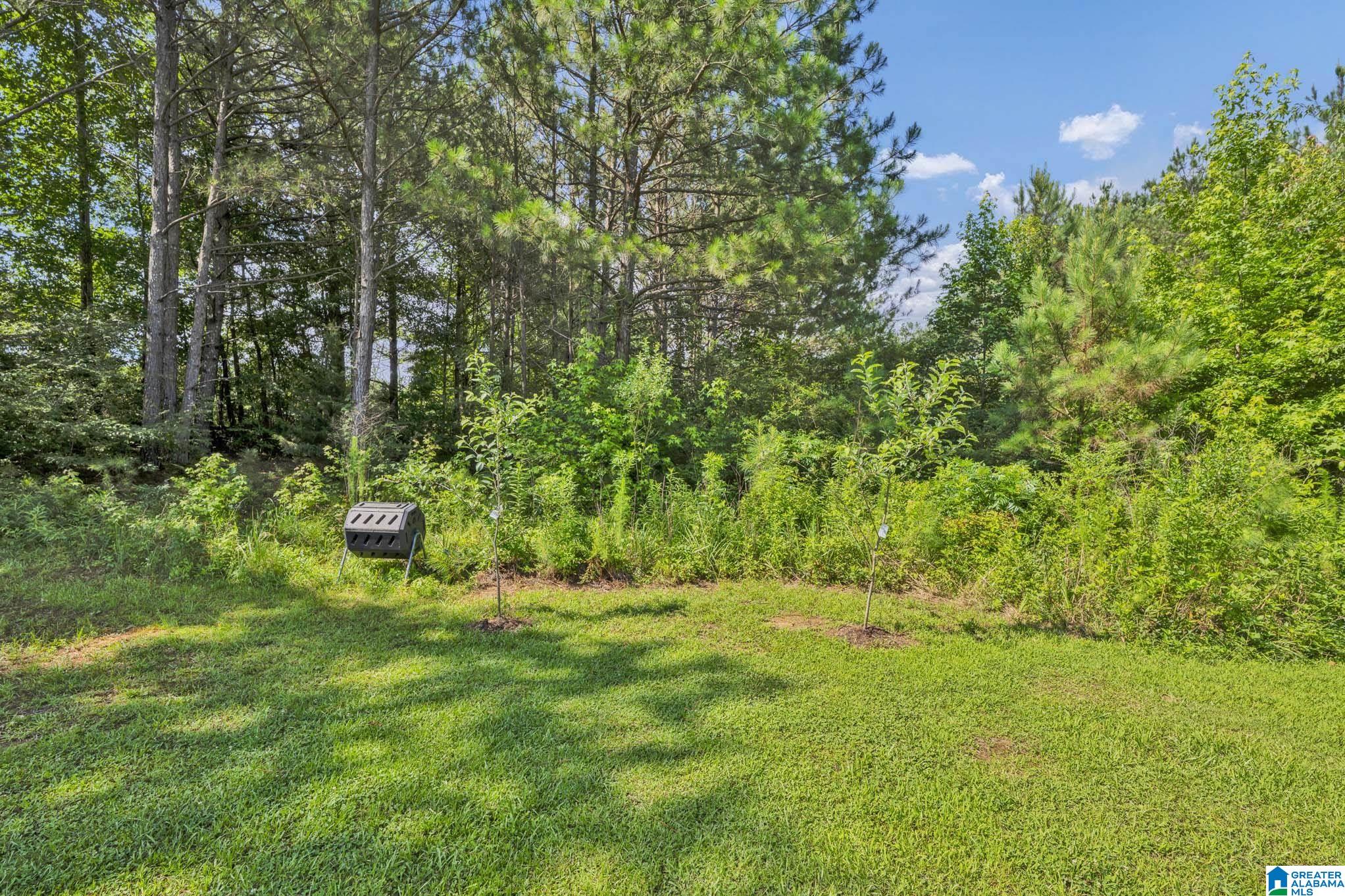 199 Joiner Road Hayden, AL 35079 - Photo 36 of 44
