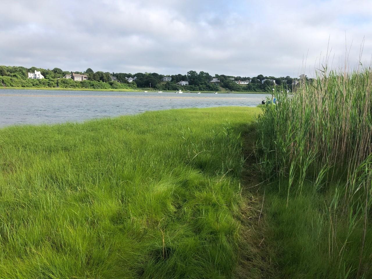 15 Seaview Road Eastham, MA 02642 - Photo 32 of 37 thumbnail_IMG_7234