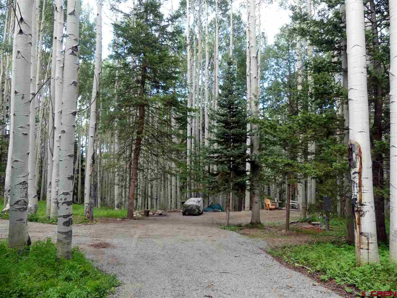 front view of a house with a tree and a yard