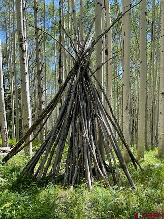 602 Columbine Drive Cimarron, CO 81220 - Photo 11 of 13 a picture of street with stairs