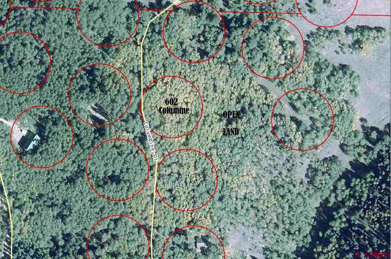 602 Columbine Drive Cimarron, CO 81220 - Photo 12 of 13