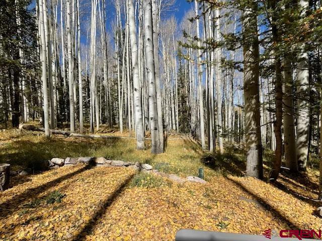 602 Columbine Drive Cimarron, CO 81220 - Photo 2 of 13 a house with a yard
