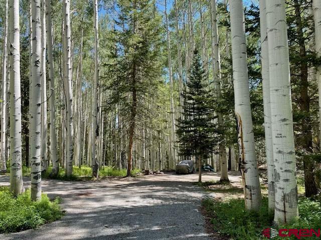 602 Columbine Drive Cimarron, CO 81220 - Photo 3 of 13 a view of a building with a tree