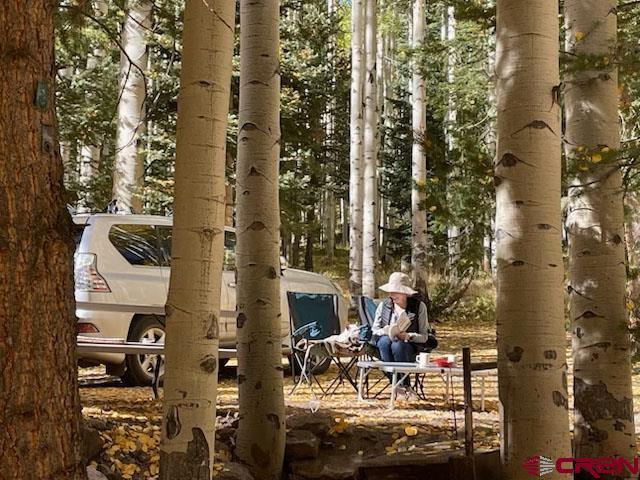 602 Columbine Drive Cimarron, CO 81220 - Photo 5 of 13