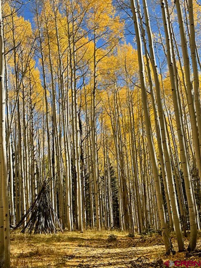 602 Columbine Drive Cimarron, CO 81220 - Photo 7 of 13 a view of swimming pool