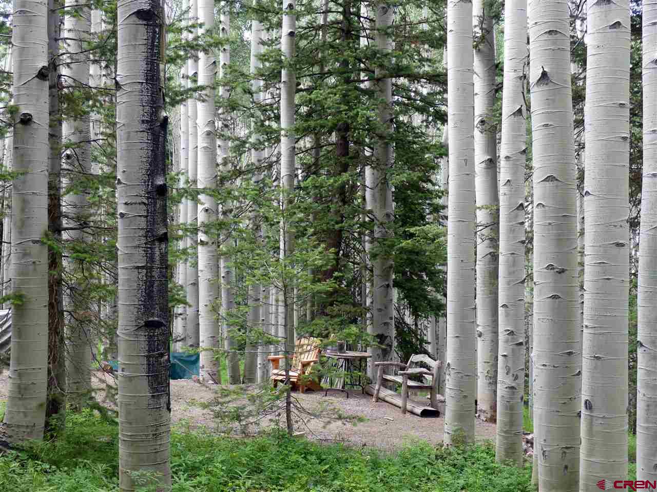 602 Columbine Drive Cimarron, CO 81220 - Photo 8 of 13 a view of a city with tall buildings