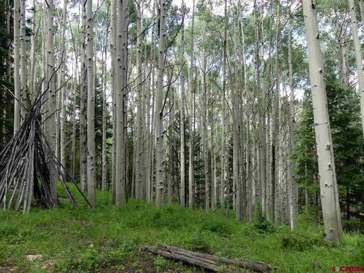 602 Columbine Drive Cimarron, CO 81220 - Photo 9 of 13 a view of outdoor space and yard