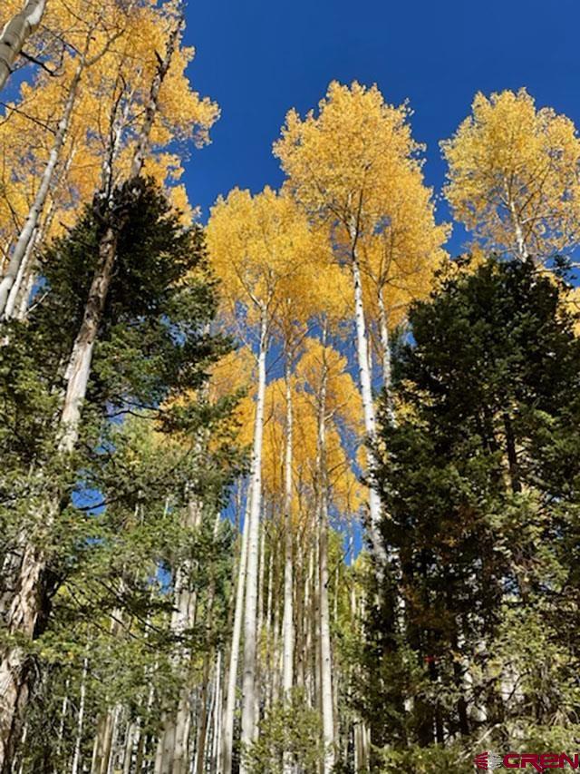 602 Columbine Drive Cimarron, CO 81220 - Photo 10 of 13 a view of lake