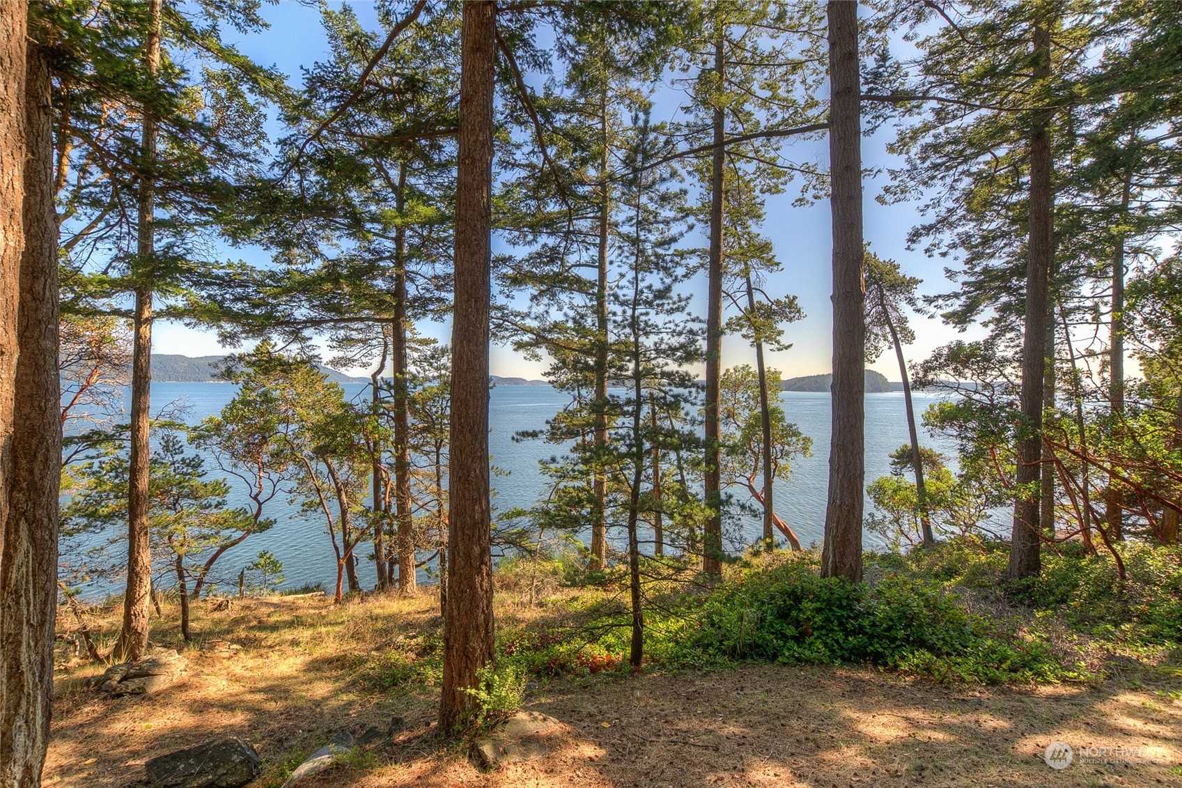 86 Shag Rock Lane Orcas Island, WA 98280 - Photo 36 of 40