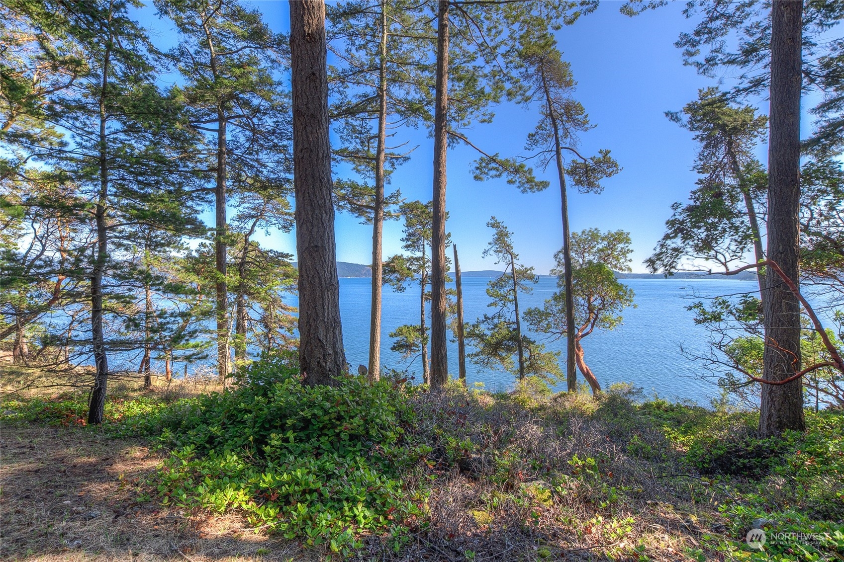 86 Shag Rock Lane Orcas Island, WA 98280 - Photo 37 of 40