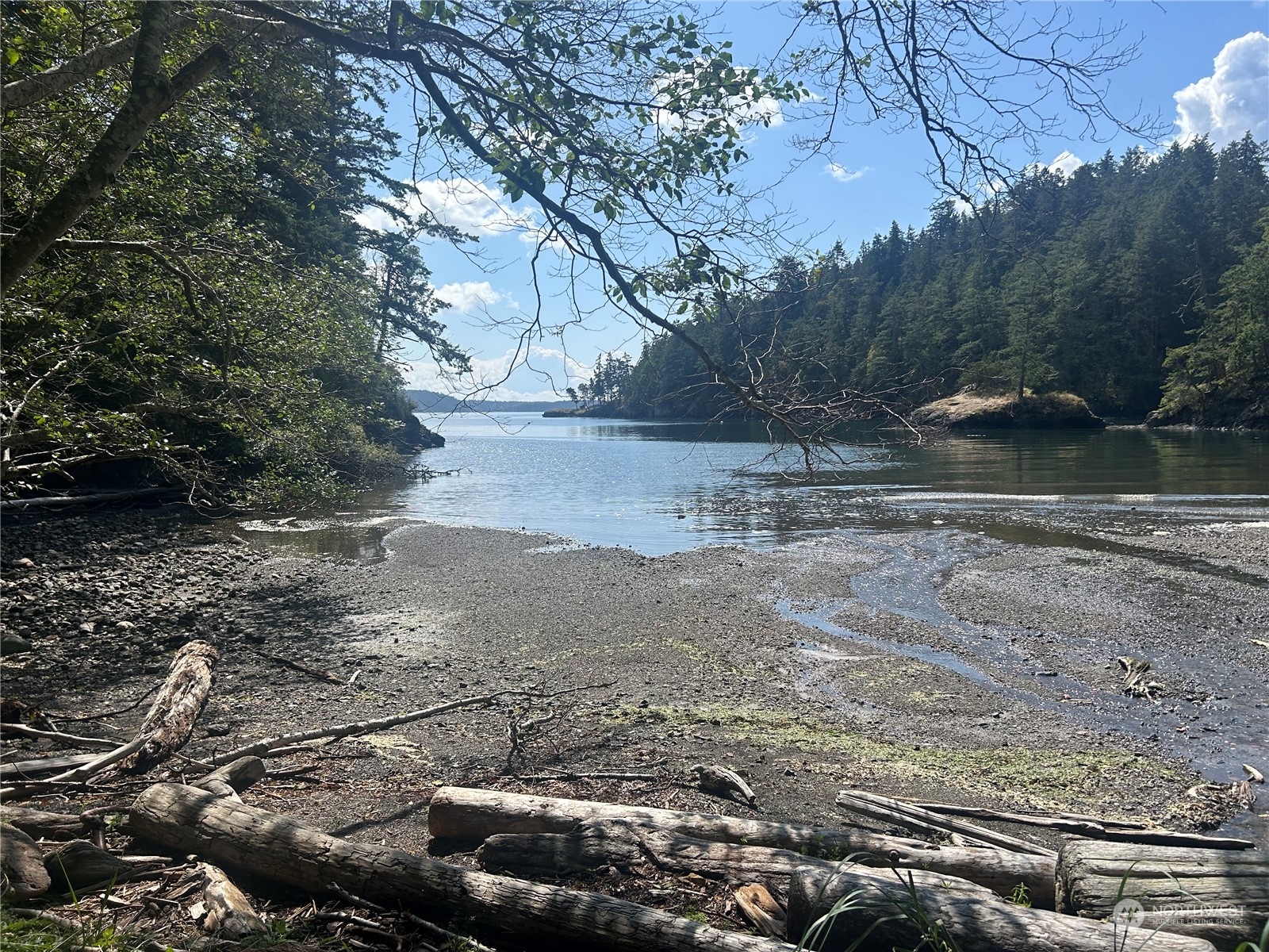 86 Shag Rock Lane Orcas Island, WA 98280 - Photo 40 of 40