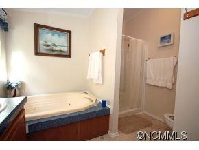 292 Roberts Mountain Road Clyde, NC 28721 - Photo 10 of 18