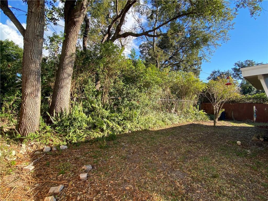 3612 Springfield Drive Holiday, FL 34691 - Photo 13 of 13 a view of a yard with plants and trees