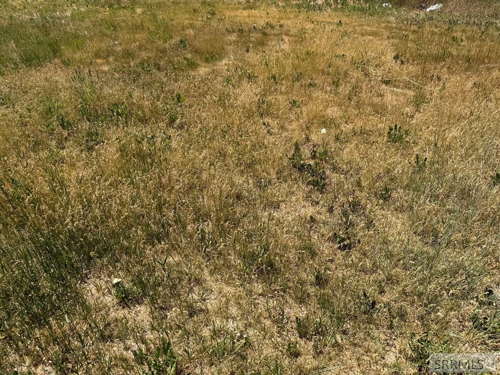 Tbd Kingdom Hall Road American Falls, ID 83211 - Photo 16 of 20