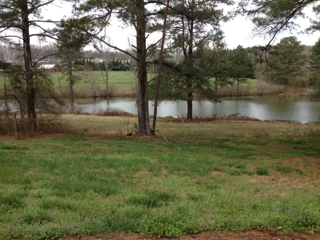 2255 Mountain Road Milton, GA 30004 - Photo 2 of 10