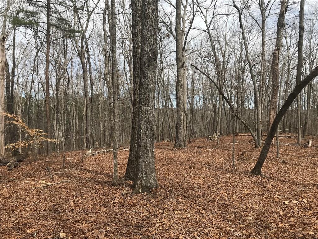 2255 Mountain Road Milton, GA 30004 - Photo 3 of 10