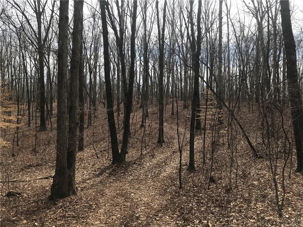 2255 Mountain Road Milton, GA 30004 - Photo 4 of 10