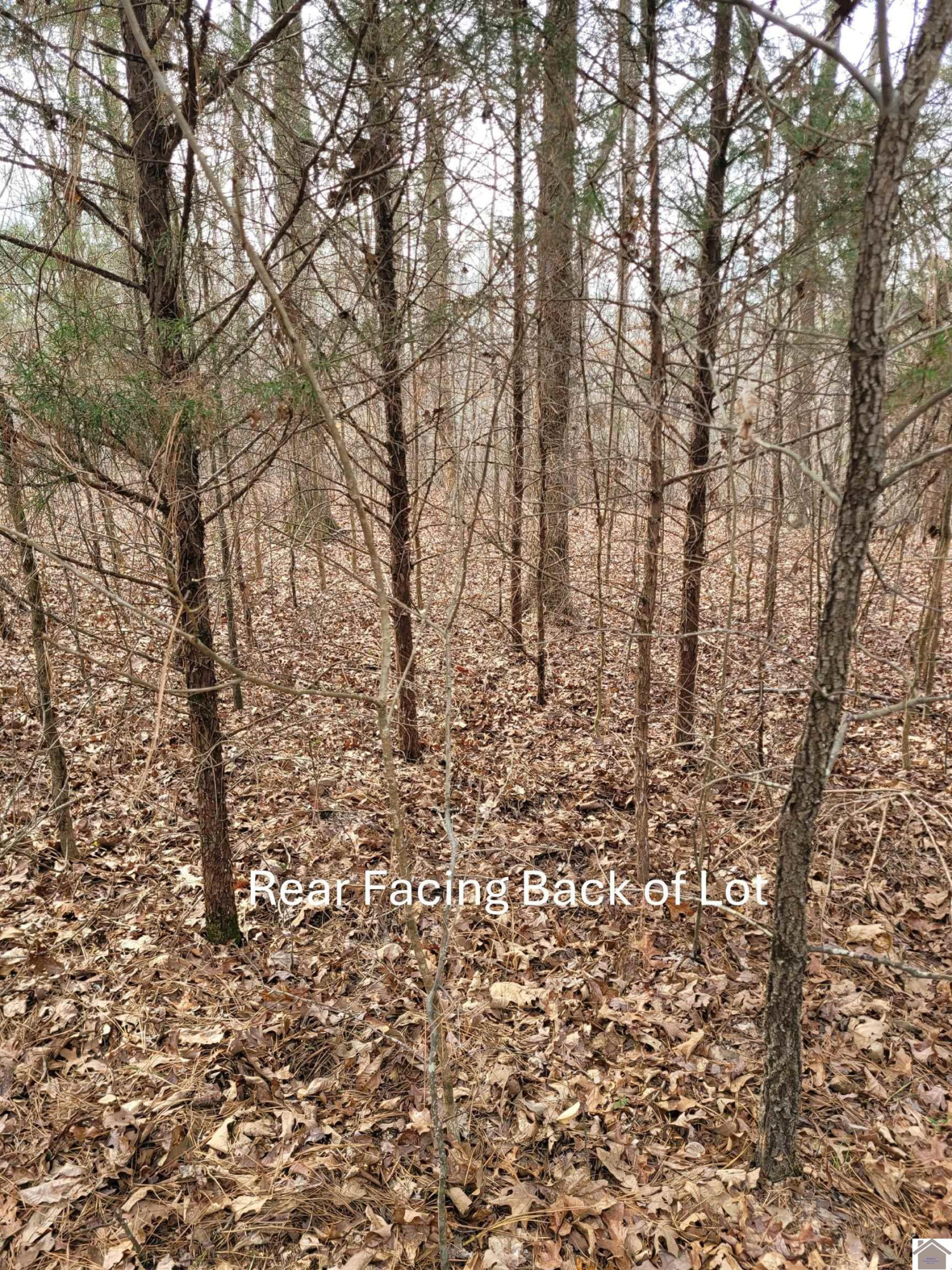 Cross Spann Road, Unit 269 Murray, KY 42071 - Photo 10 of 12 Rear Facing Back of Lot