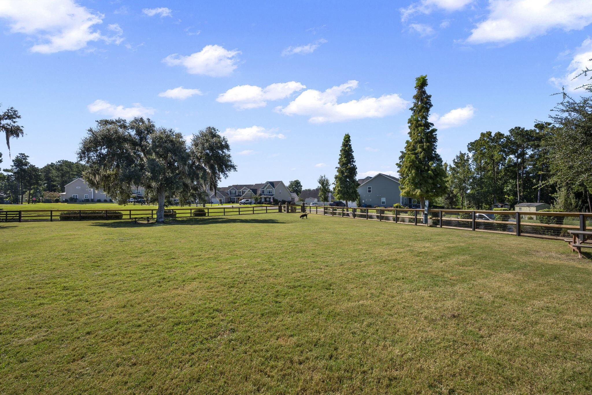 492 Trotters Lane Moncks Corner, SC 29461 - Photo 50 of 60 12-web-or-mls-71-print-IMG_5598