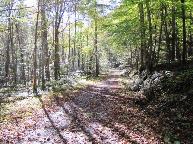 Laurel Creek Road Wayside, WV 24985 - Photo 23 of 28 Gallery Image 23